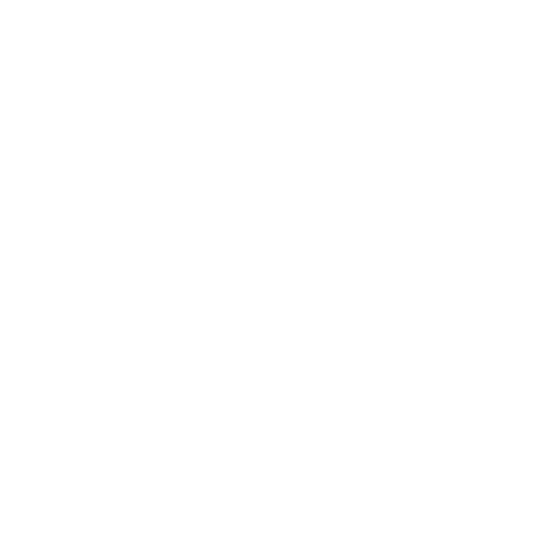 Rorqual Studio - Logo blanc