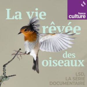 Podcast - La vie rêvée des oiseaux - LSD